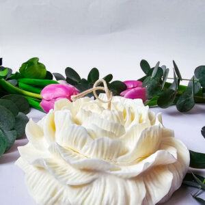 White glow flower