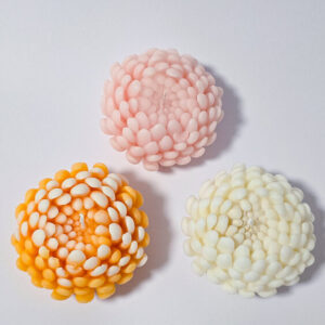 Chrysanthemum